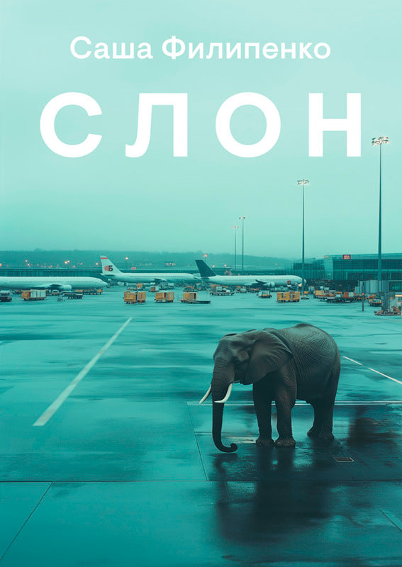 Cаша Филипенко: Слон
